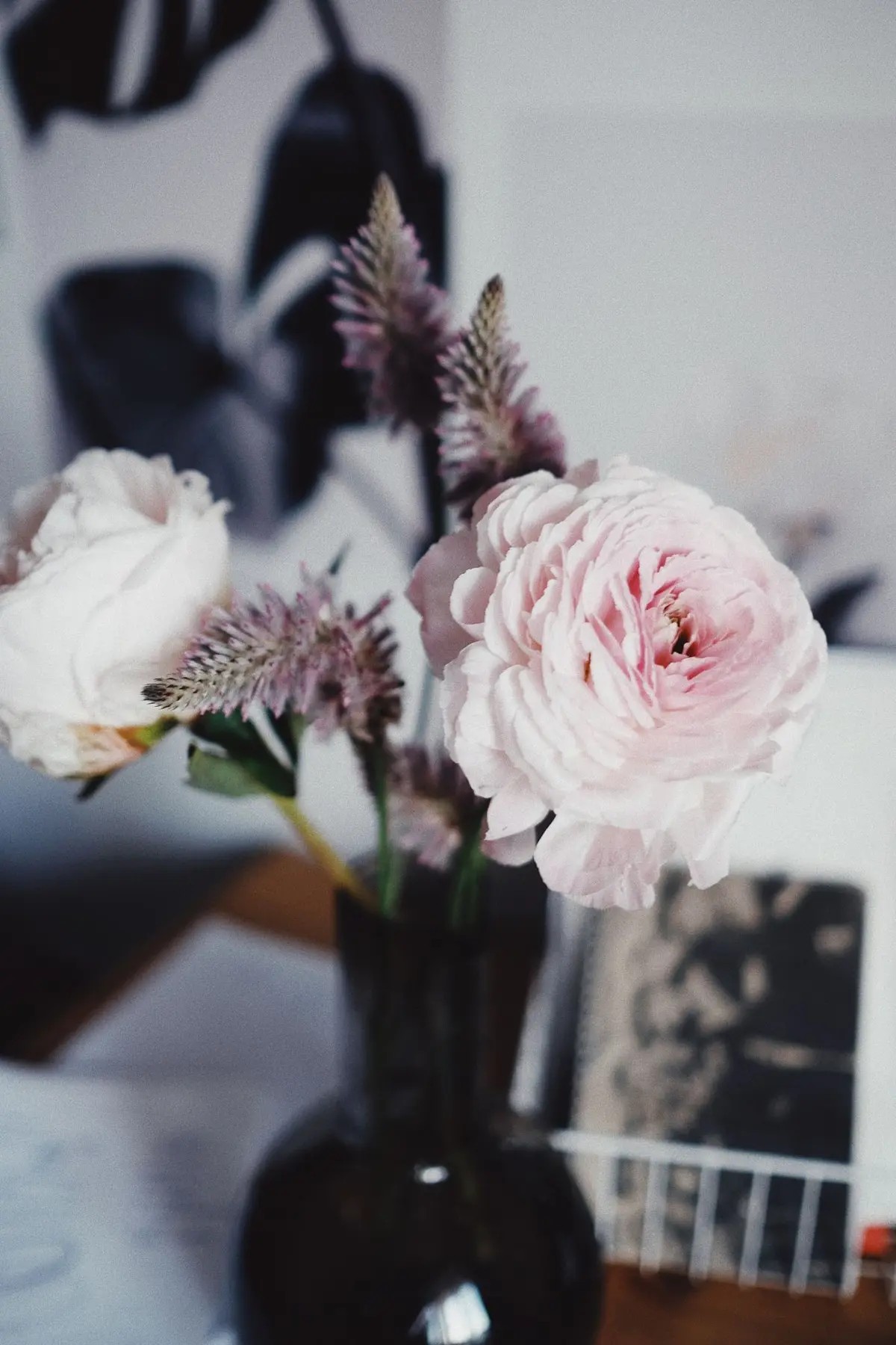 A soft pink ranunculus in a dark vase
